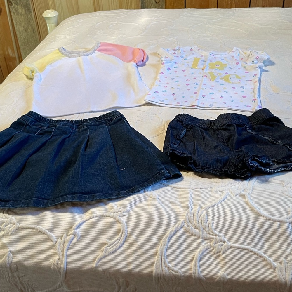 Lot of 4 pieces of girl toddler clothing